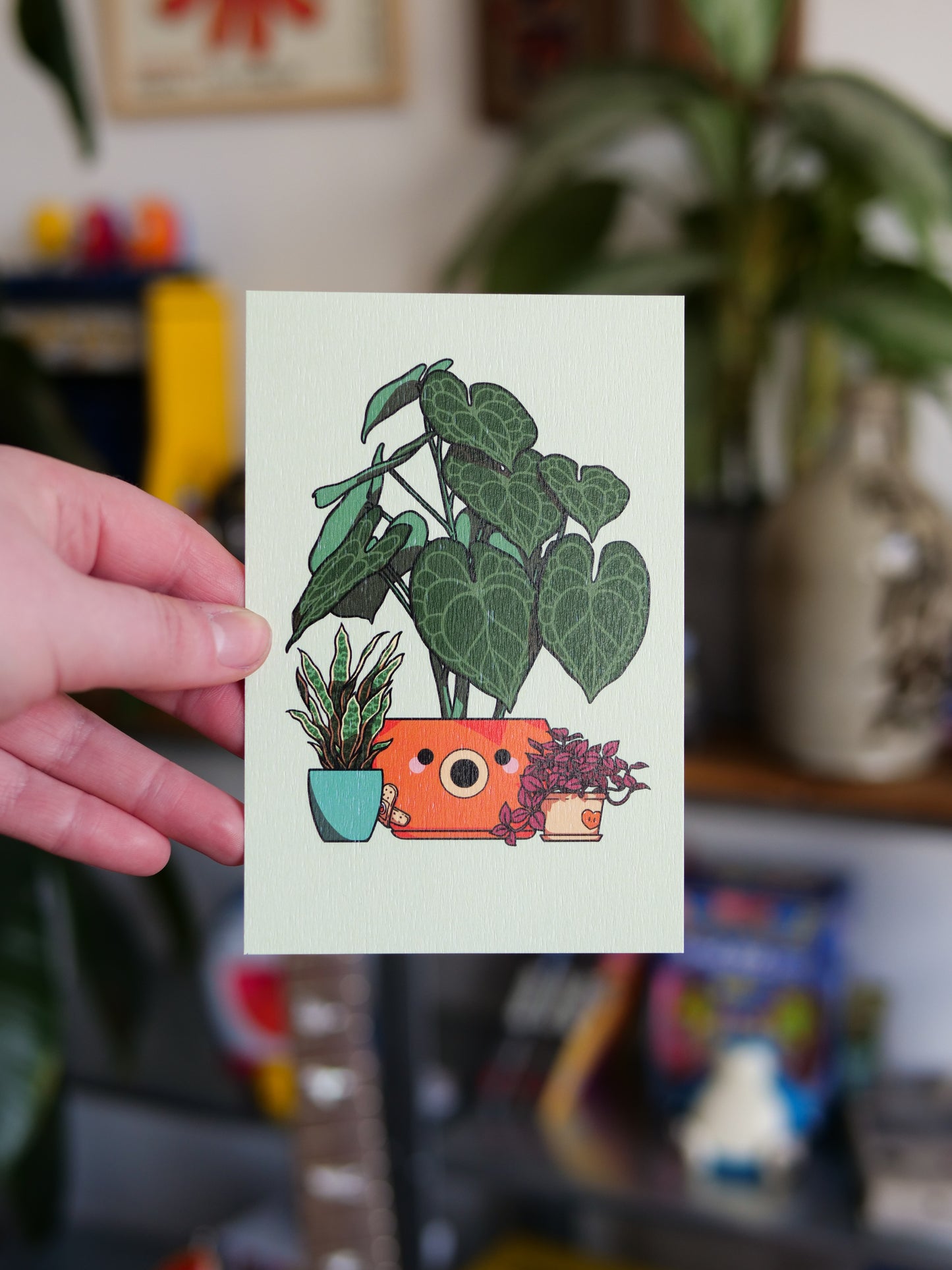 Carte postale Poulpi Plante