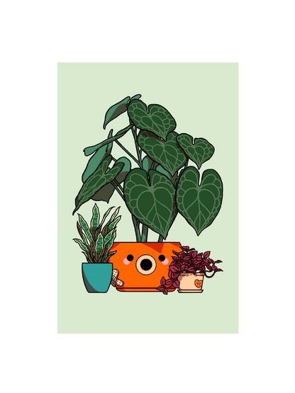 Carte postale Poulpi Plante