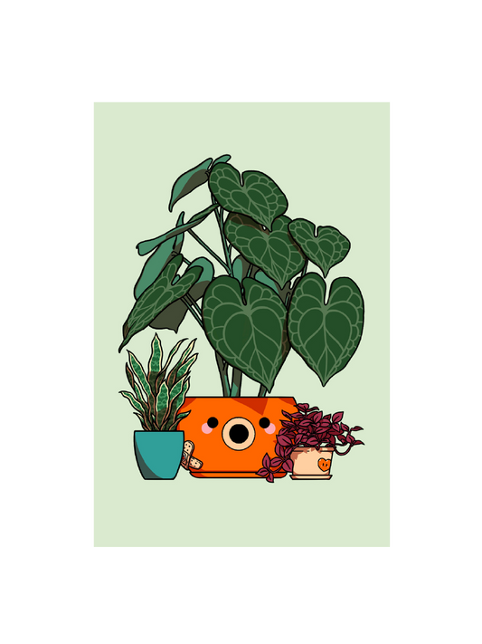 Carte postale Poulpi Plante